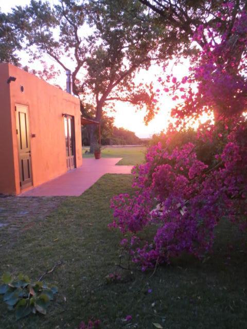 Villa La Casona De San Pedro Colonia del Sacramento Exterior foto